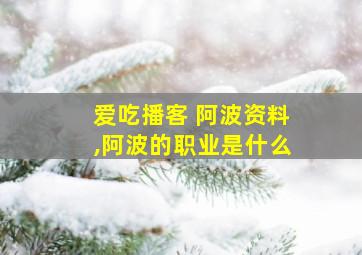 爱吃播客 阿波资料,阿波的职业是什么